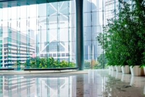 Applying the Biophilia Hypothesis to Your Workplace