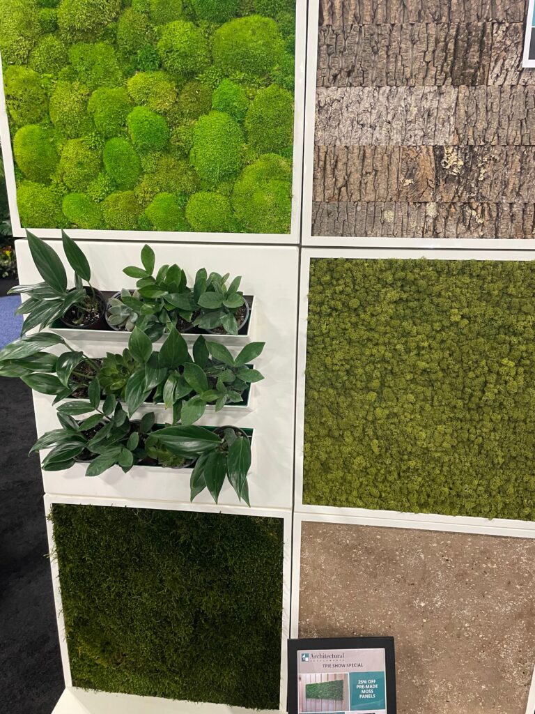 wall moss